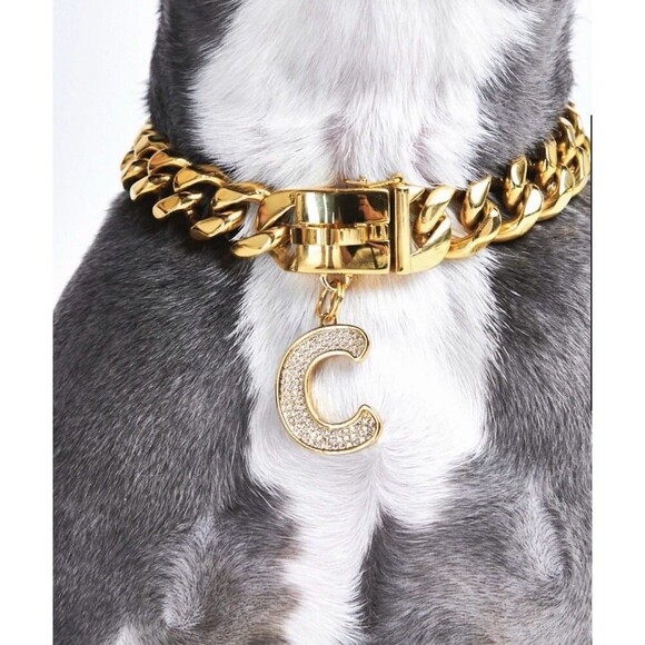 Spark Paws Dog Collar Initial Charm “C” – Gold CZ Letter Pendant Tag for Pets - Picture 3 of 8